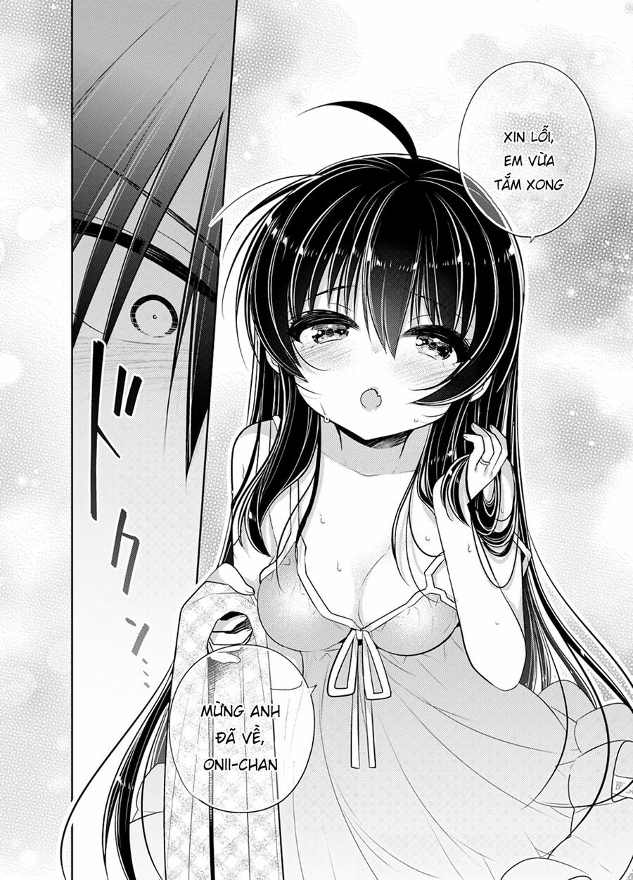 Siscon Ani To Brocon Imouto Ga Shoujiki Ni Nattara: Chapter 49: - After Story