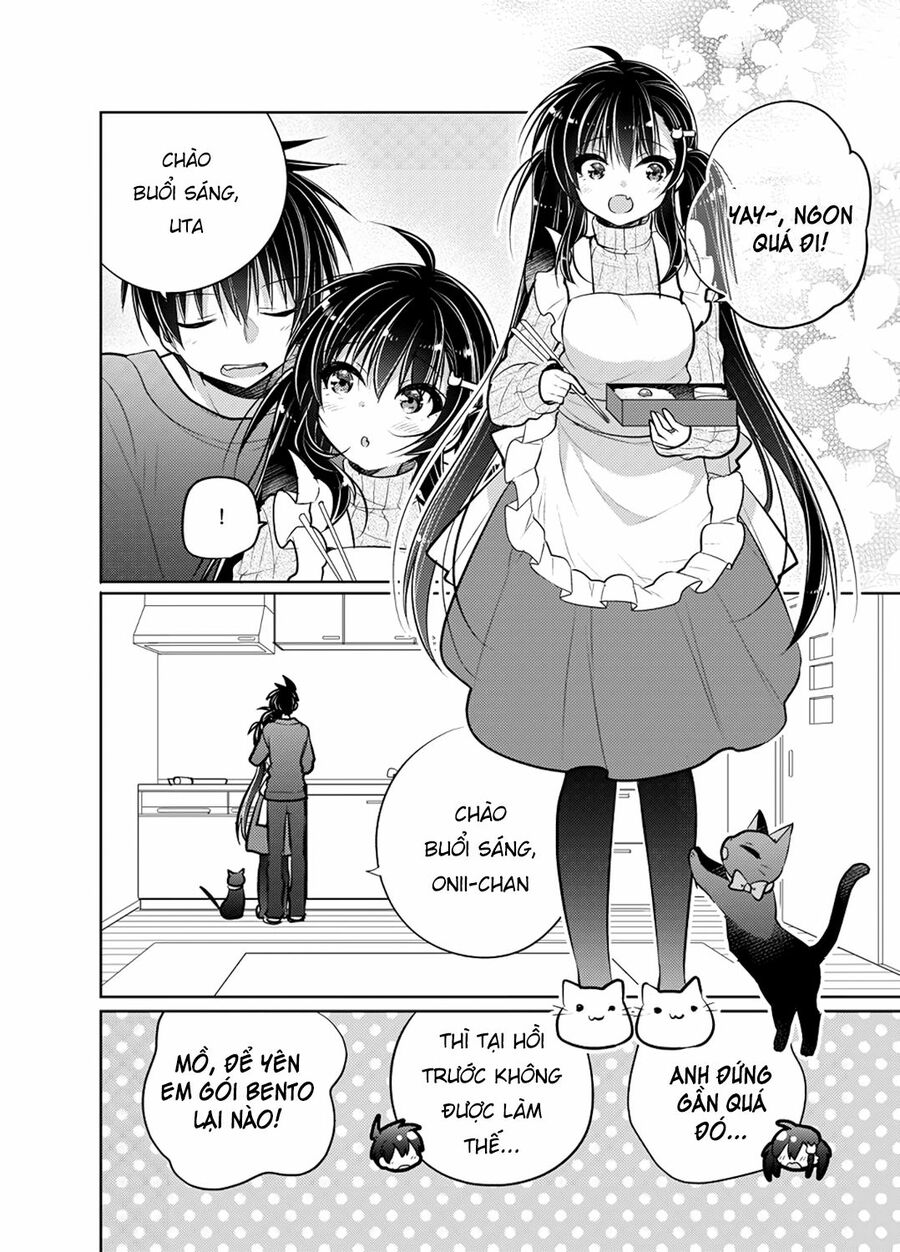 Siscon Ani To Brocon Imouto Ga Shoujiki Ni Nattara: Chapter 49: - After Story
