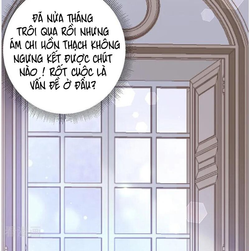 Ác ma đừng hôn tôi: Chapter 141