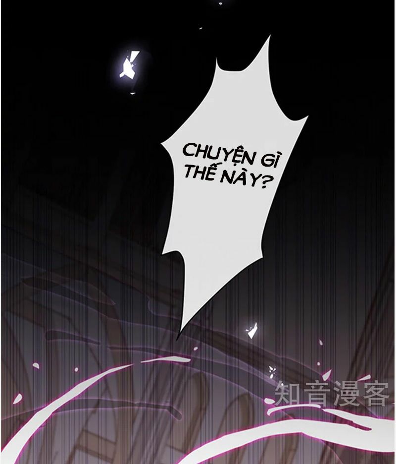 Ác ma đừng hôn tôi: Chapter 144