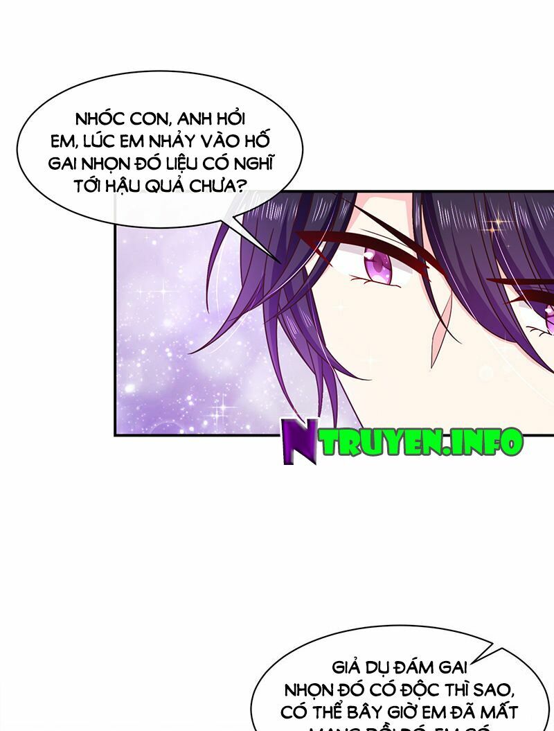 Ác ma đừng hôn tôi: Chapter 74