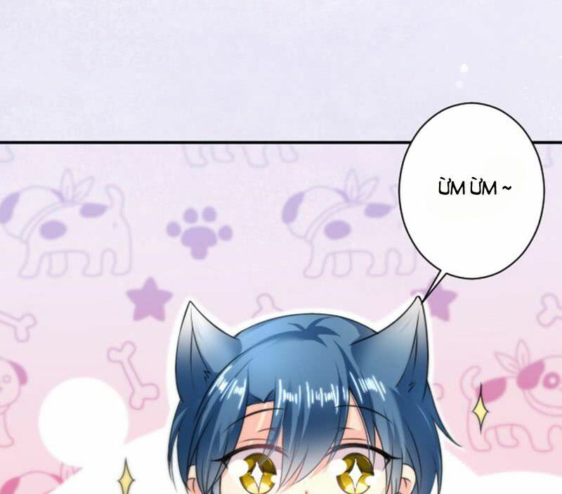 Ác ma đừng hôn tôi: Chapter 8
