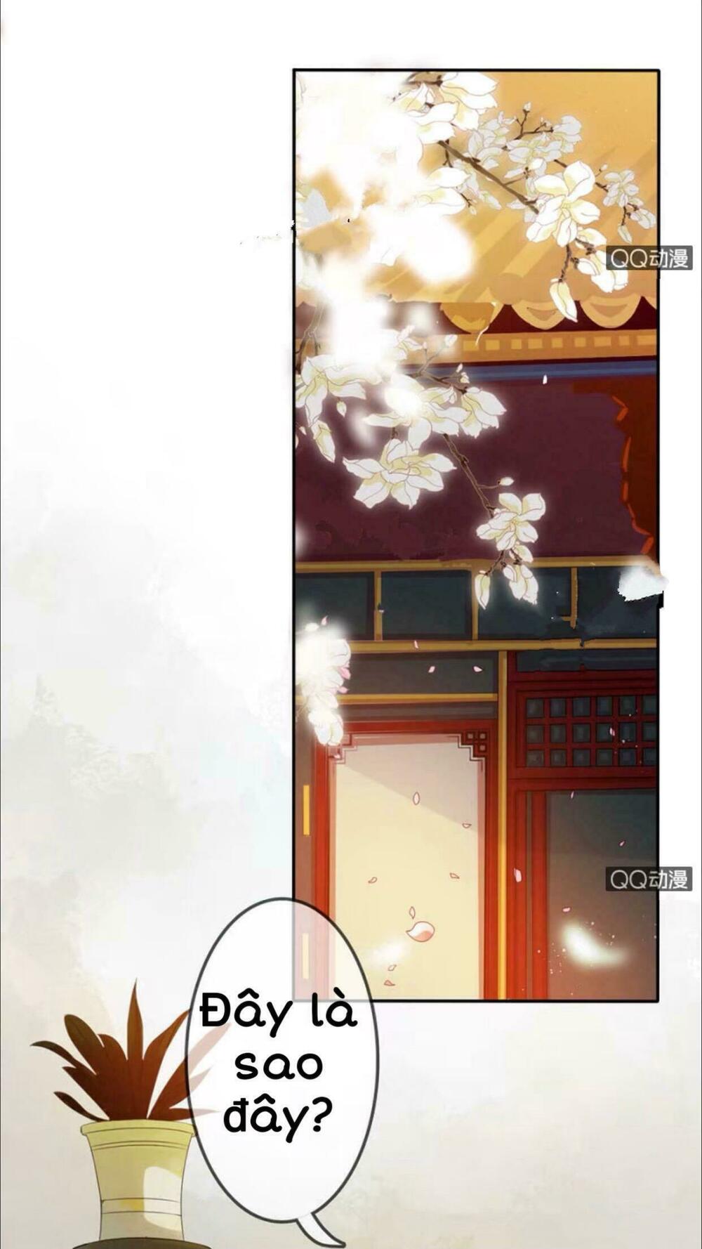 Sủng Phi Của Vương: Chapter 10