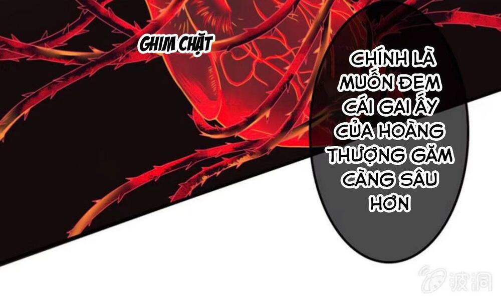 Sủng Phi Của Vương: Chapter 102