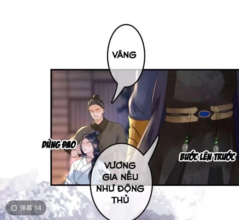 Sủng Phi Của Vương: Chapter 104