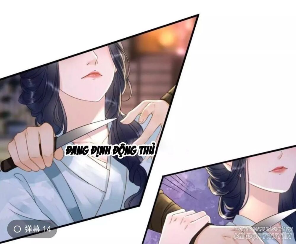Sủng Phi Của Vương: Chapter 104