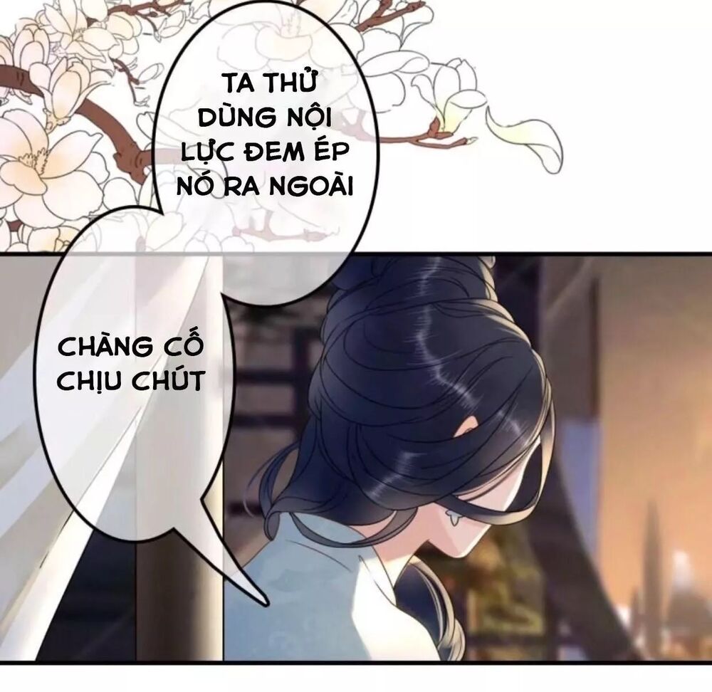 Sủng Phi Của Vương: Chapter 106