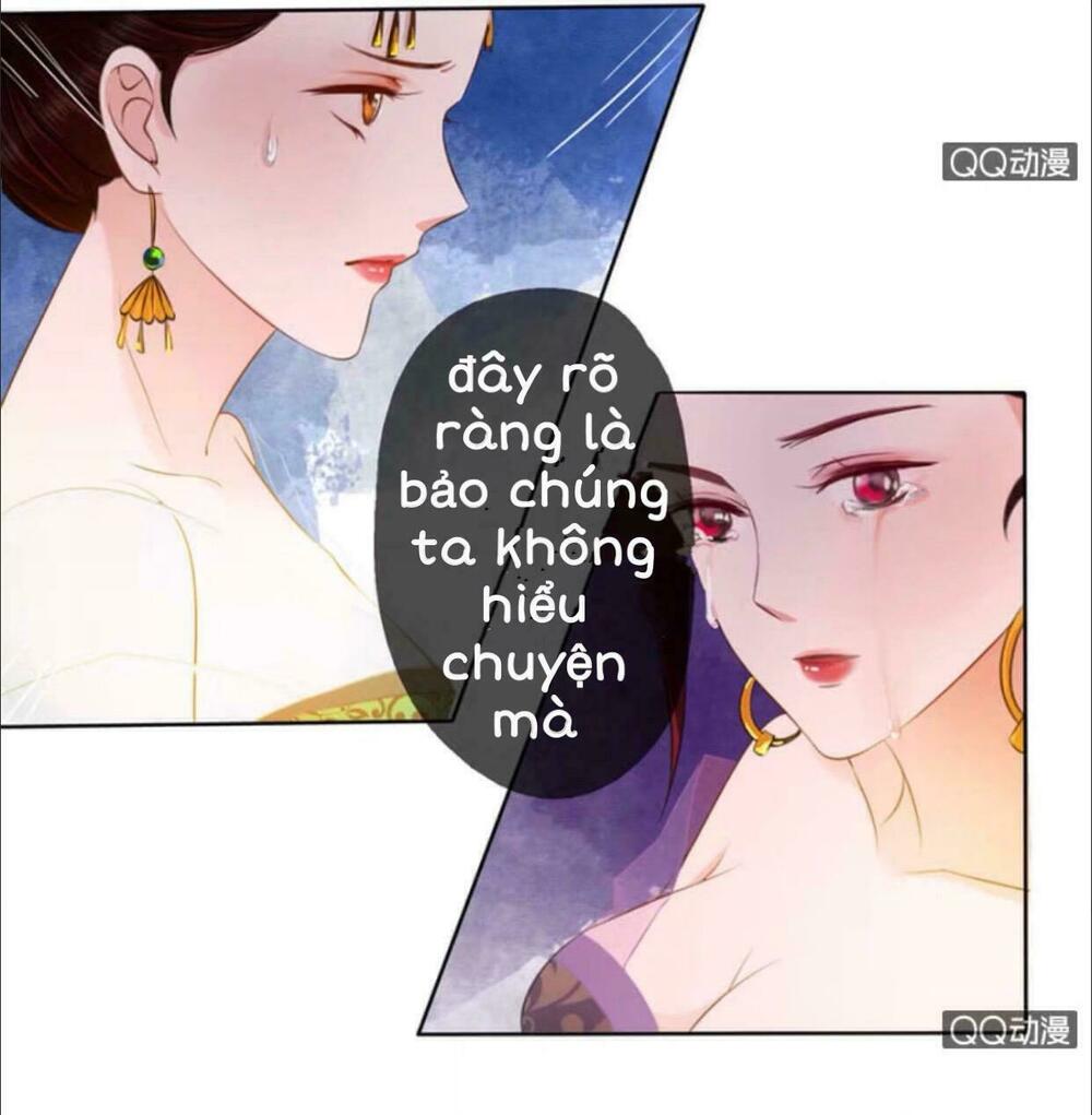 Sủng Phi Của Vương: Chapter 11