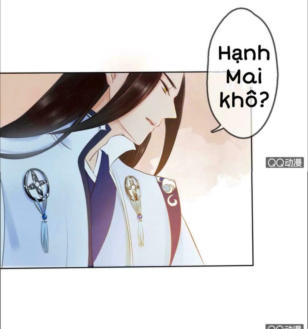 Sủng Phi Của Vương: Chapter 11