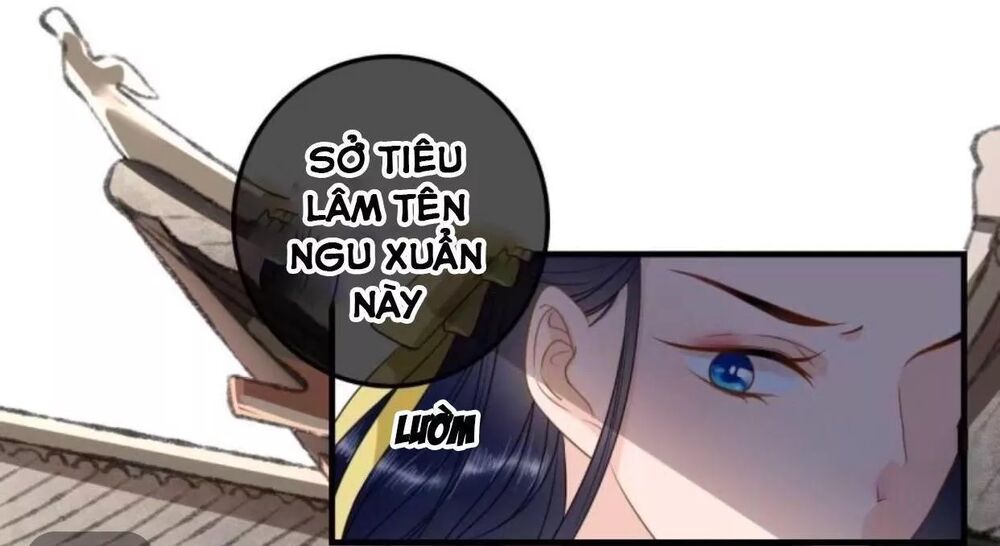 Sủng Phi Của Vương: Chapter 112
