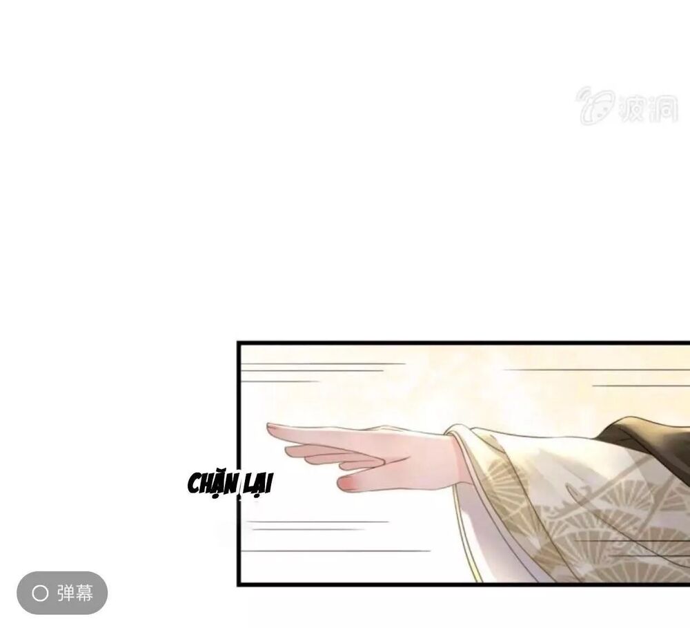 Sủng Phi Của Vương: Chapter 113