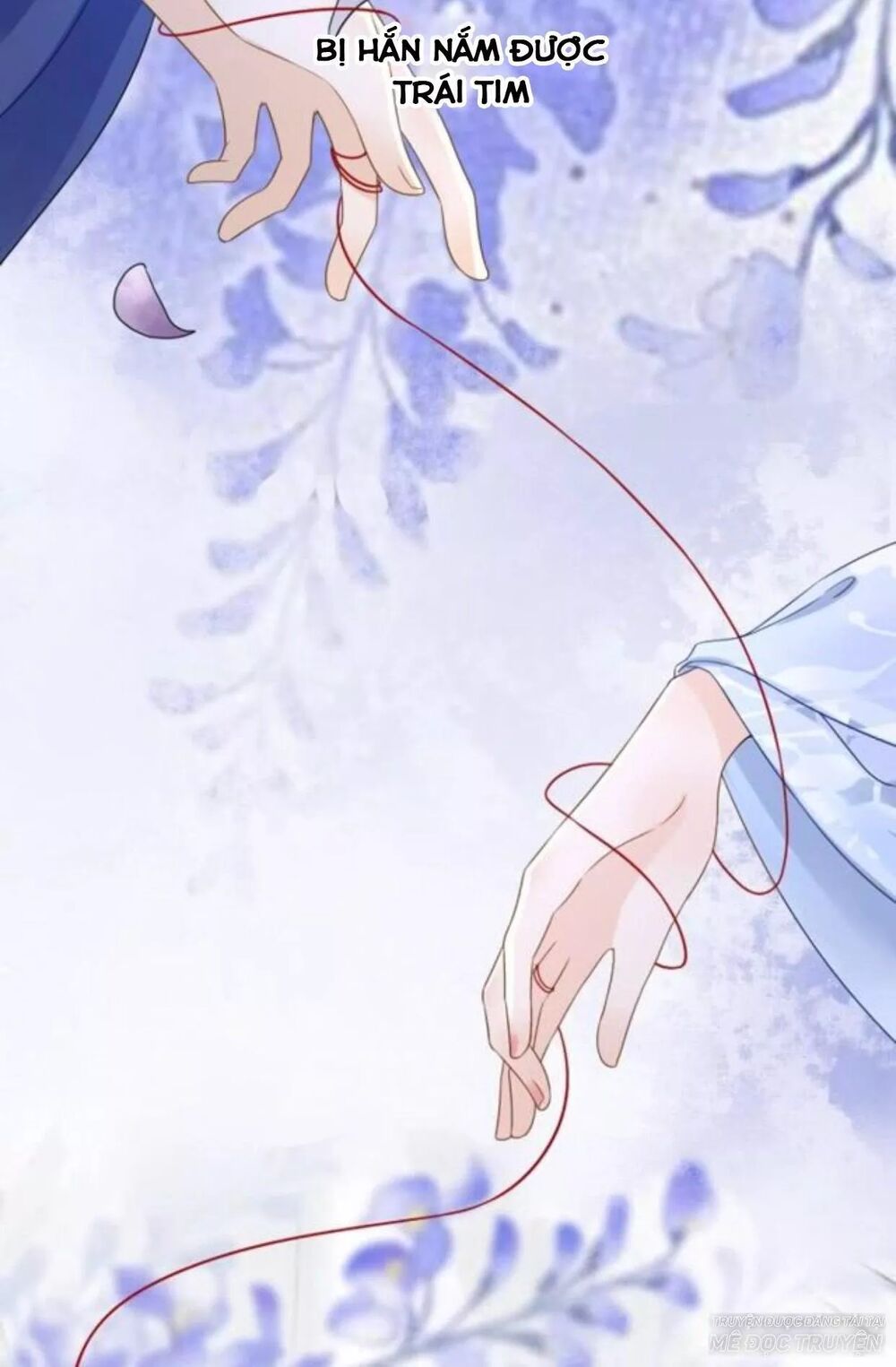 Sủng Phi Của Vương: Chapter 118