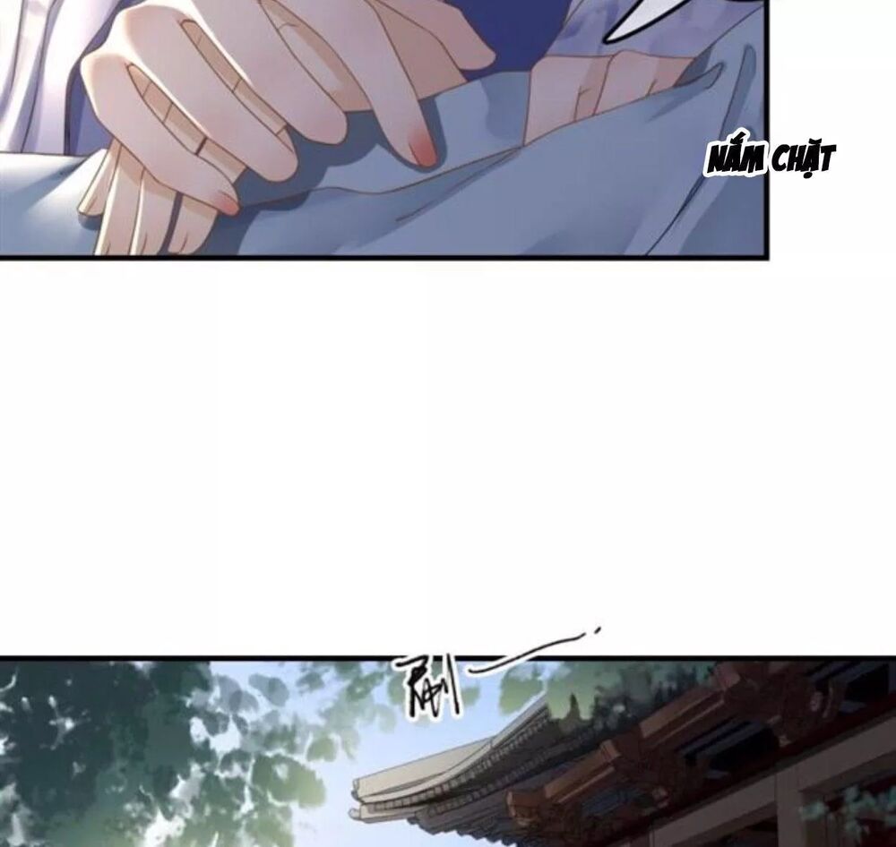 Sủng Phi Của Vương: Chapter 121