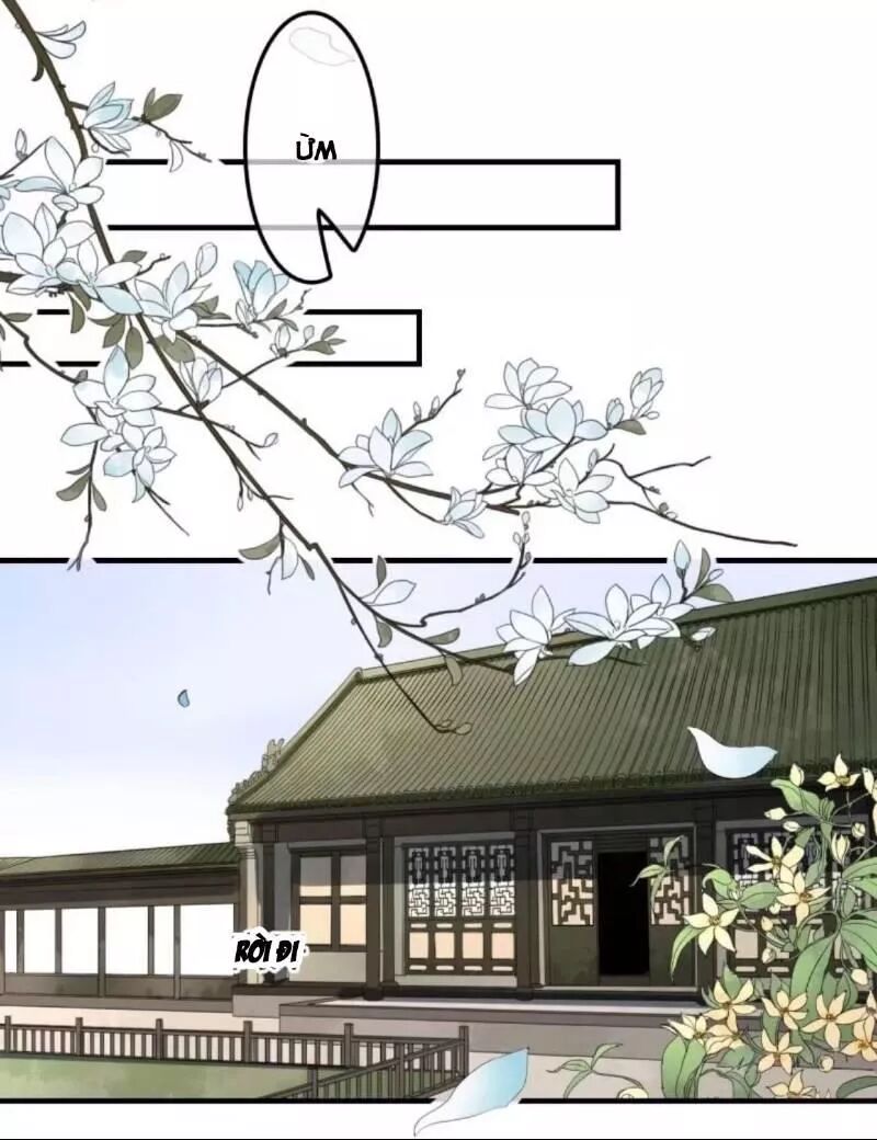 Sủng Phi Của Vương: Chapter 131