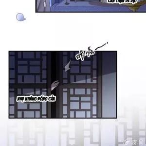 Sủng Phi Của Vương: Chapter 132