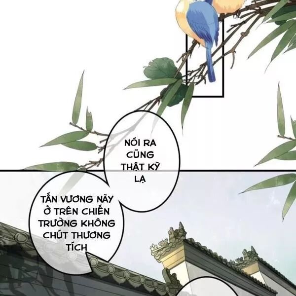 Sủng Phi Của Vương: Chapter 134