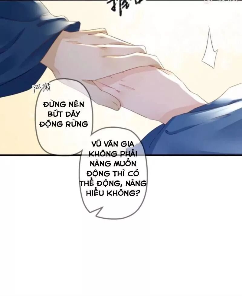 Sủng Phi Của Vương: Chapter 135