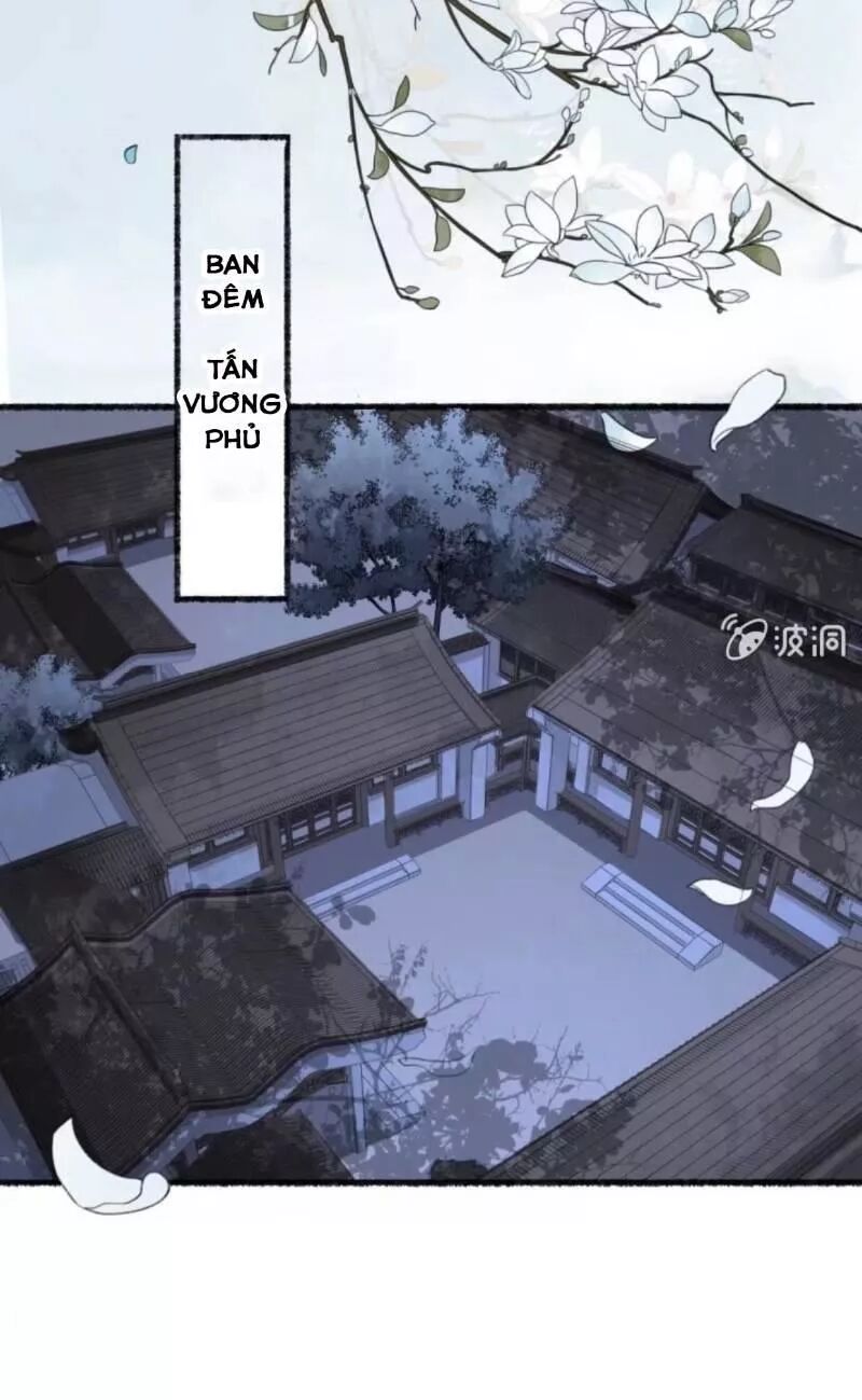 Sủng Phi Của Vương: Chapter 137