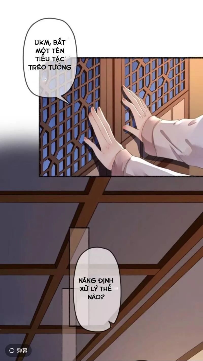 Sủng Phi Của Vương: Chapter 138