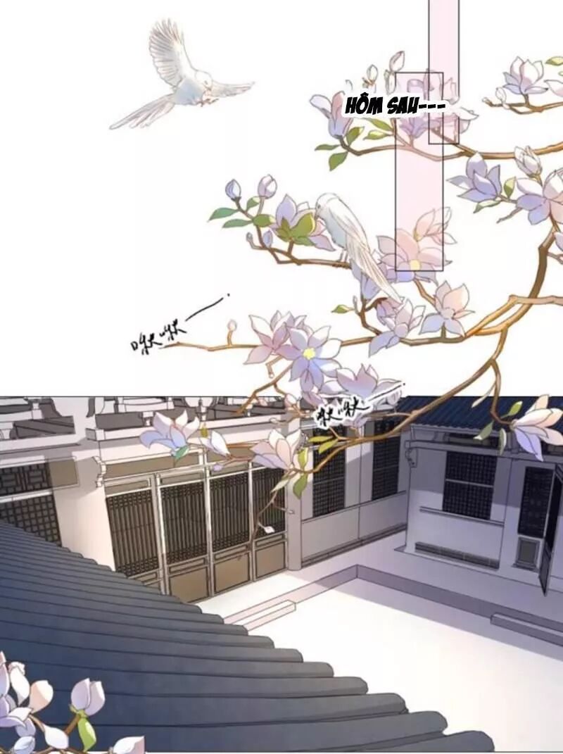 Sủng Phi Của Vương: Chapter 142