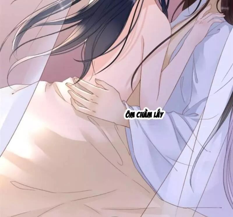 Sủng Phi Của Vương: Chapter 142