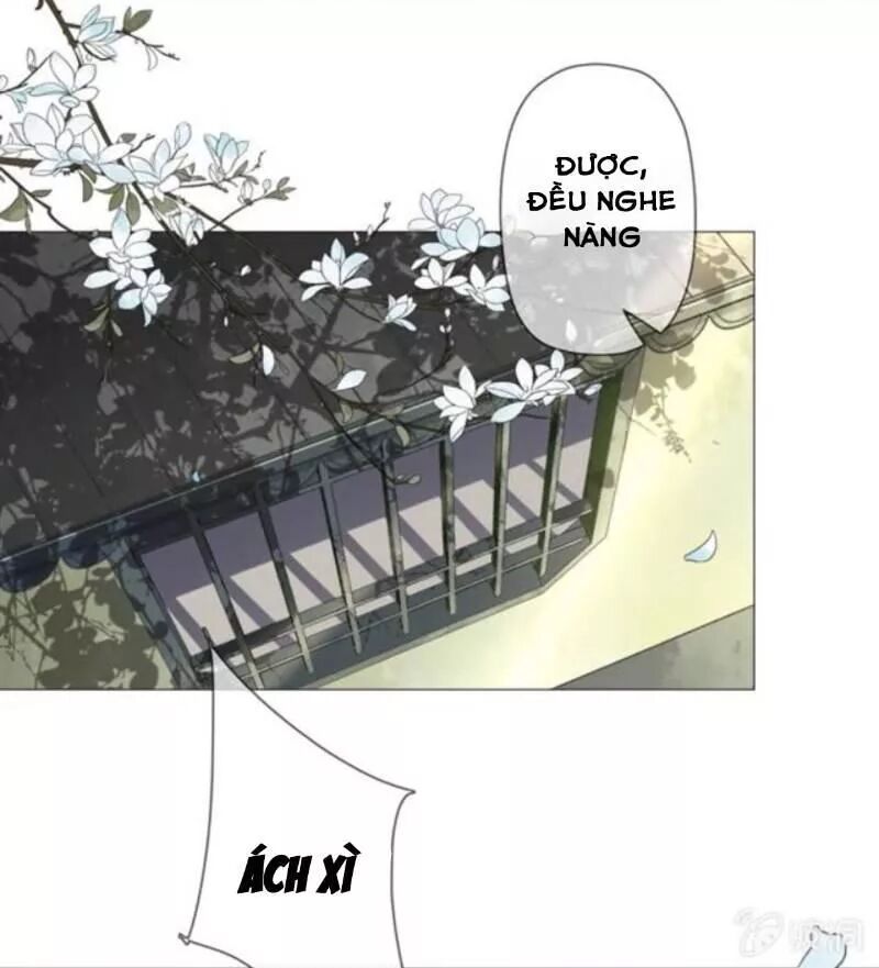 Sủng Phi Của Vương: Chapter 142