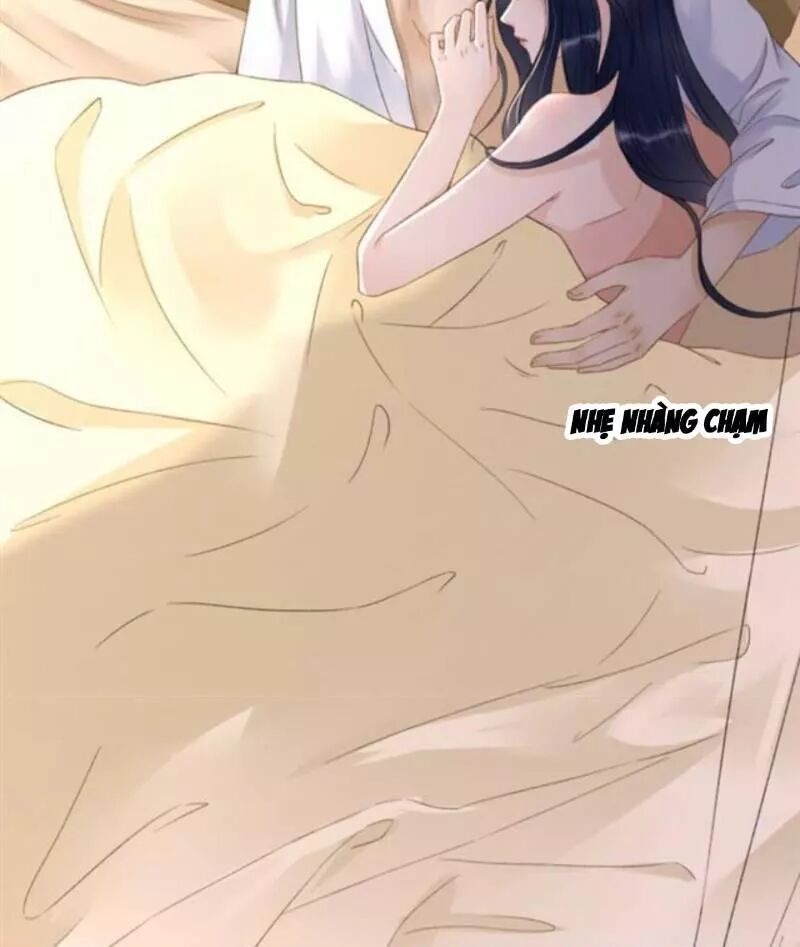 Sủng Phi Của Vương: Chapter 142