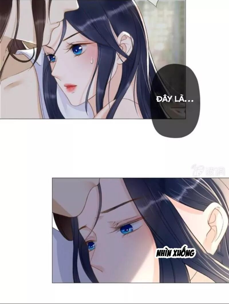 Sủng Phi Của Vương: Chapter 142