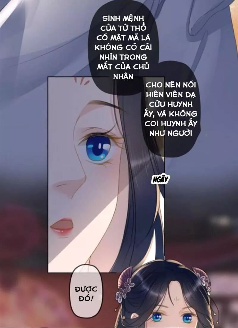 Sủng Phi Của Vương: Chapter 144