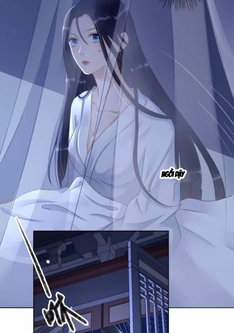 Sủng Phi Của Vương: Chapter 146