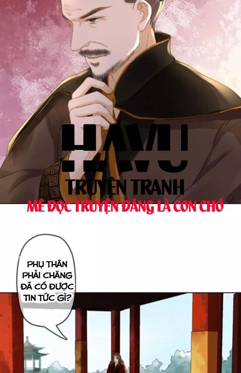 Sủng Phi Của Vương: Chapter 156