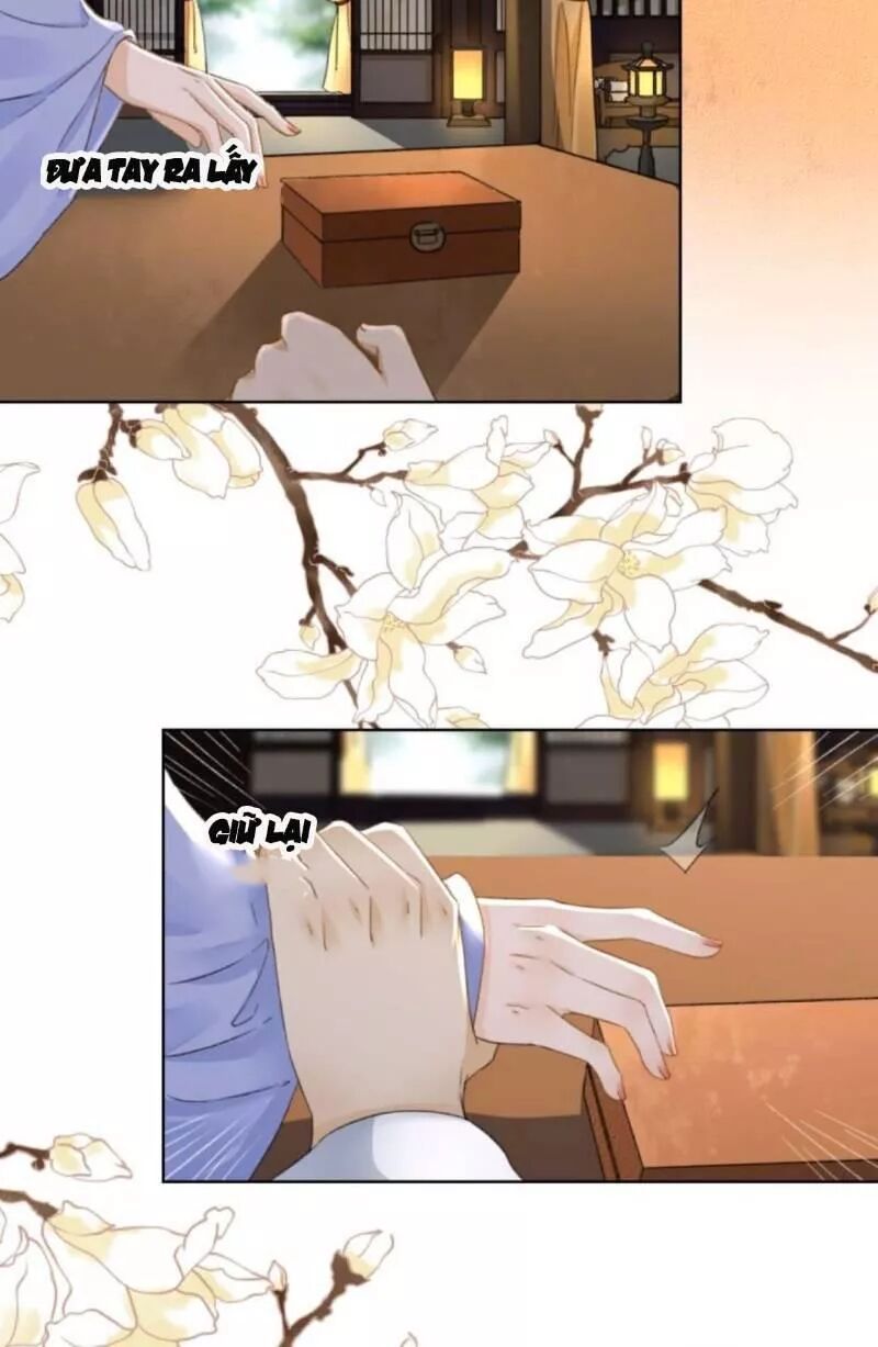 Sủng Phi Của Vương: Chapter 157