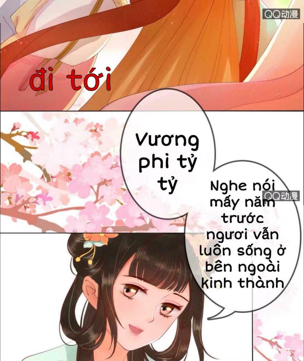Sủng Phi Của Vương: Chapter 16