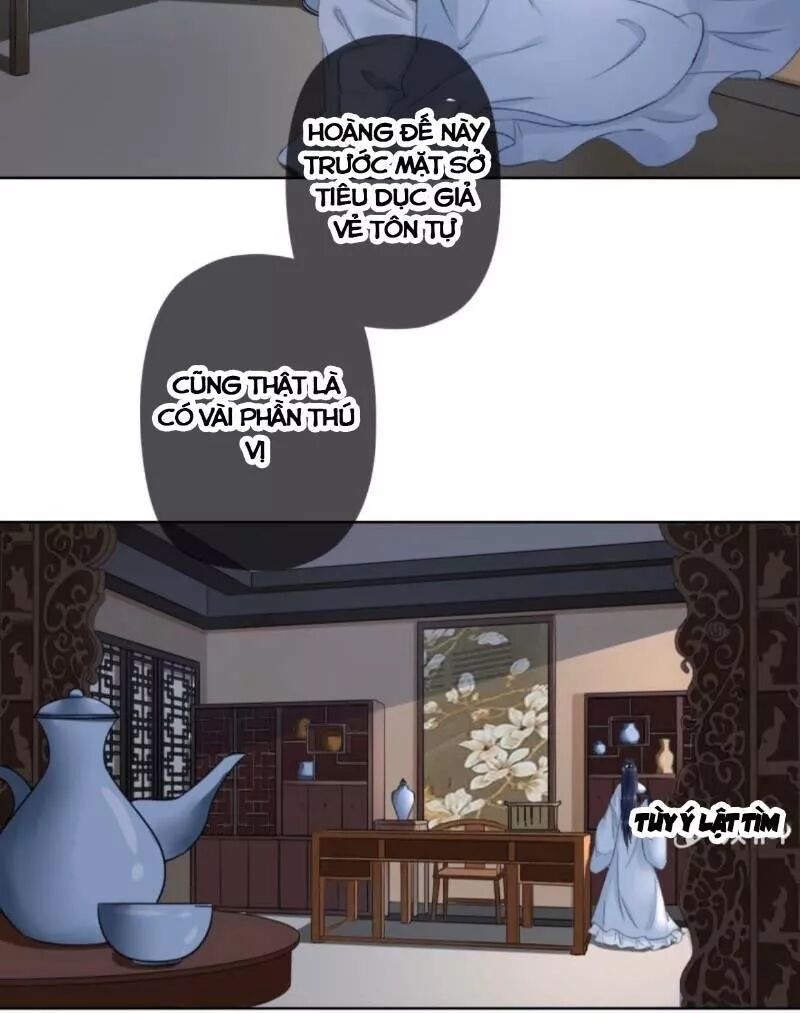 Sủng Phi Của Vương: Chapter 160