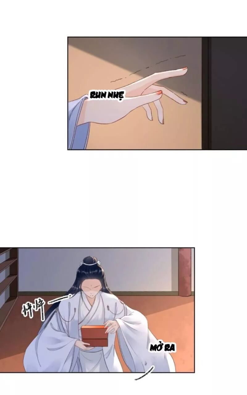 Sủng Phi Của Vương: Chapter 161