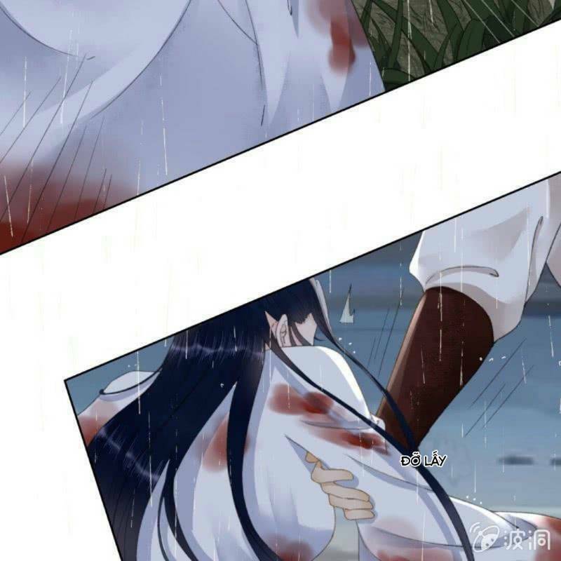 Sủng Phi Của Vương: Chapter 170
