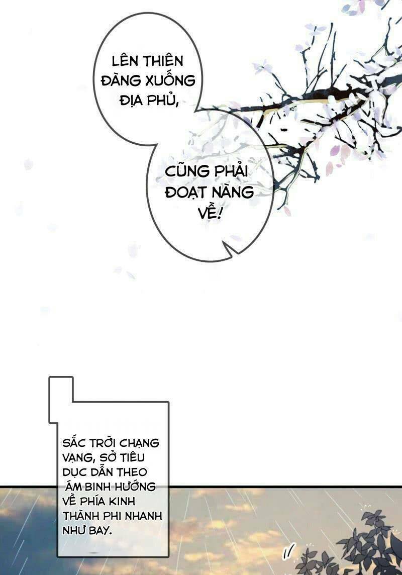 Sủng Phi Của Vương: Chapter 172