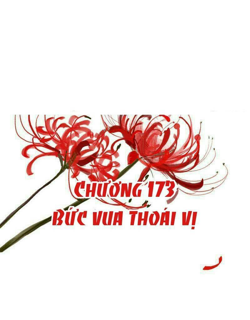 Sủng Phi Của Vương: Chapter 173