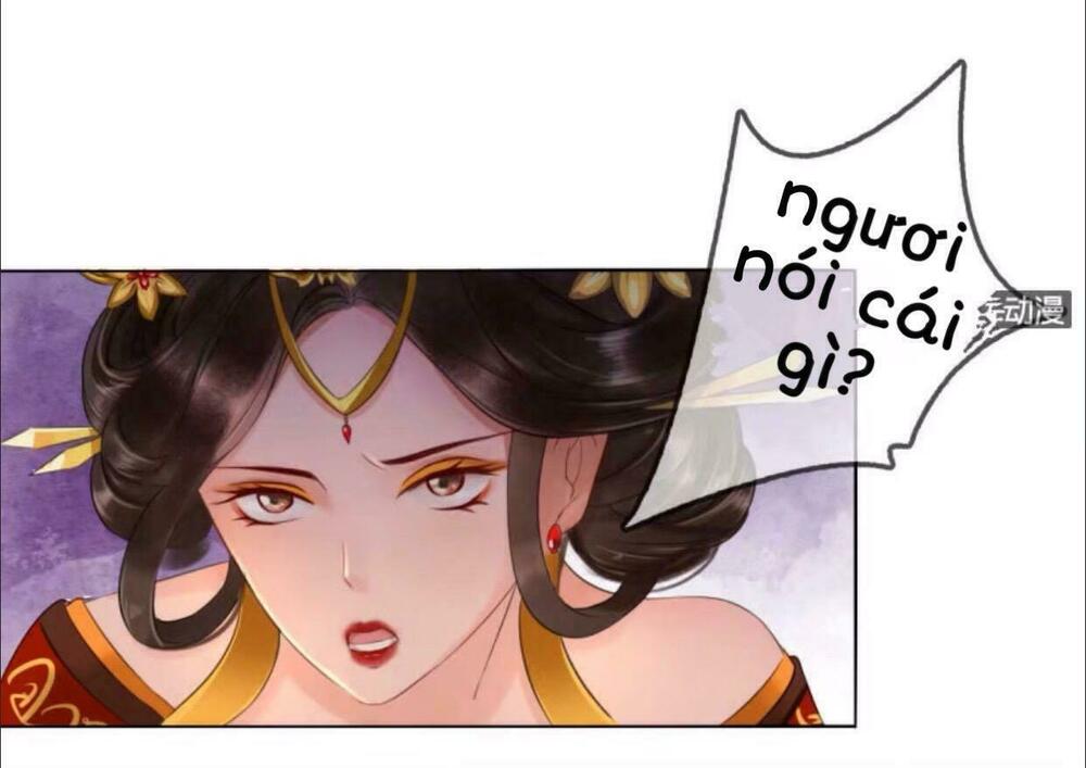 Sủng Phi Của Vương: Chapter 19