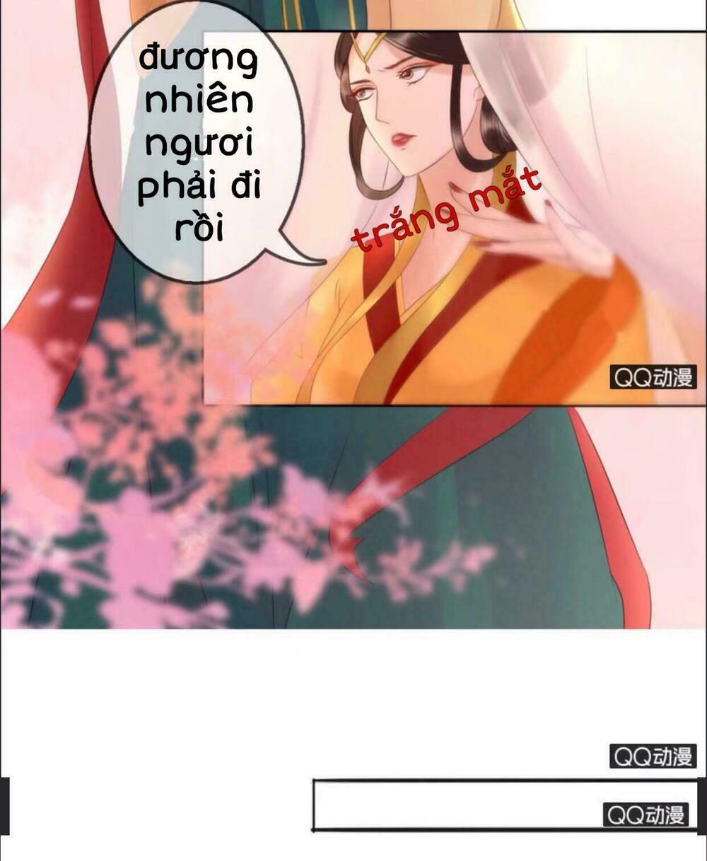 Sủng Phi Của Vương: Chapter 20