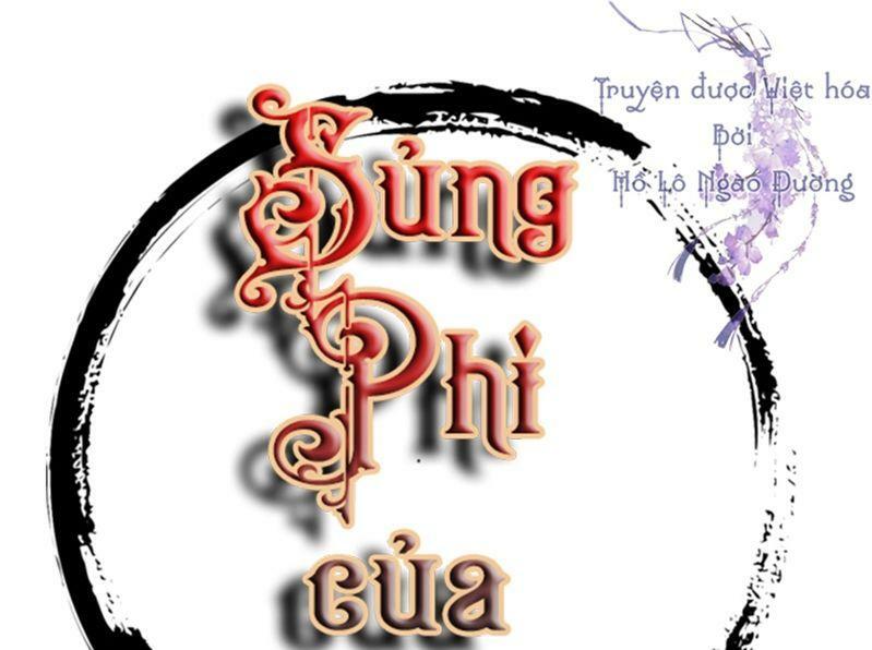 Sủng Phi Của Vương: Chapter 204: End