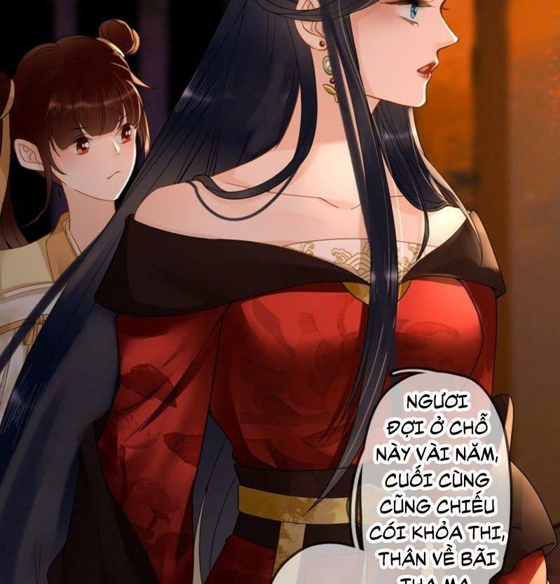 Sủng Phi Của Vương: Chapter 204: End