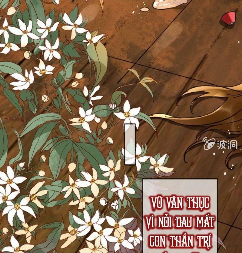 Sủng Phi Của Vương: Chapter 204: End
