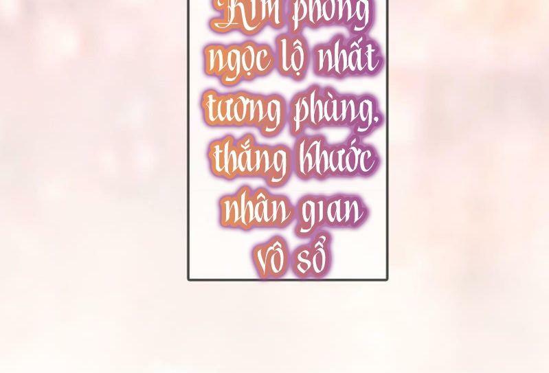 Sủng Phi Của Vương: Chapter 204: End