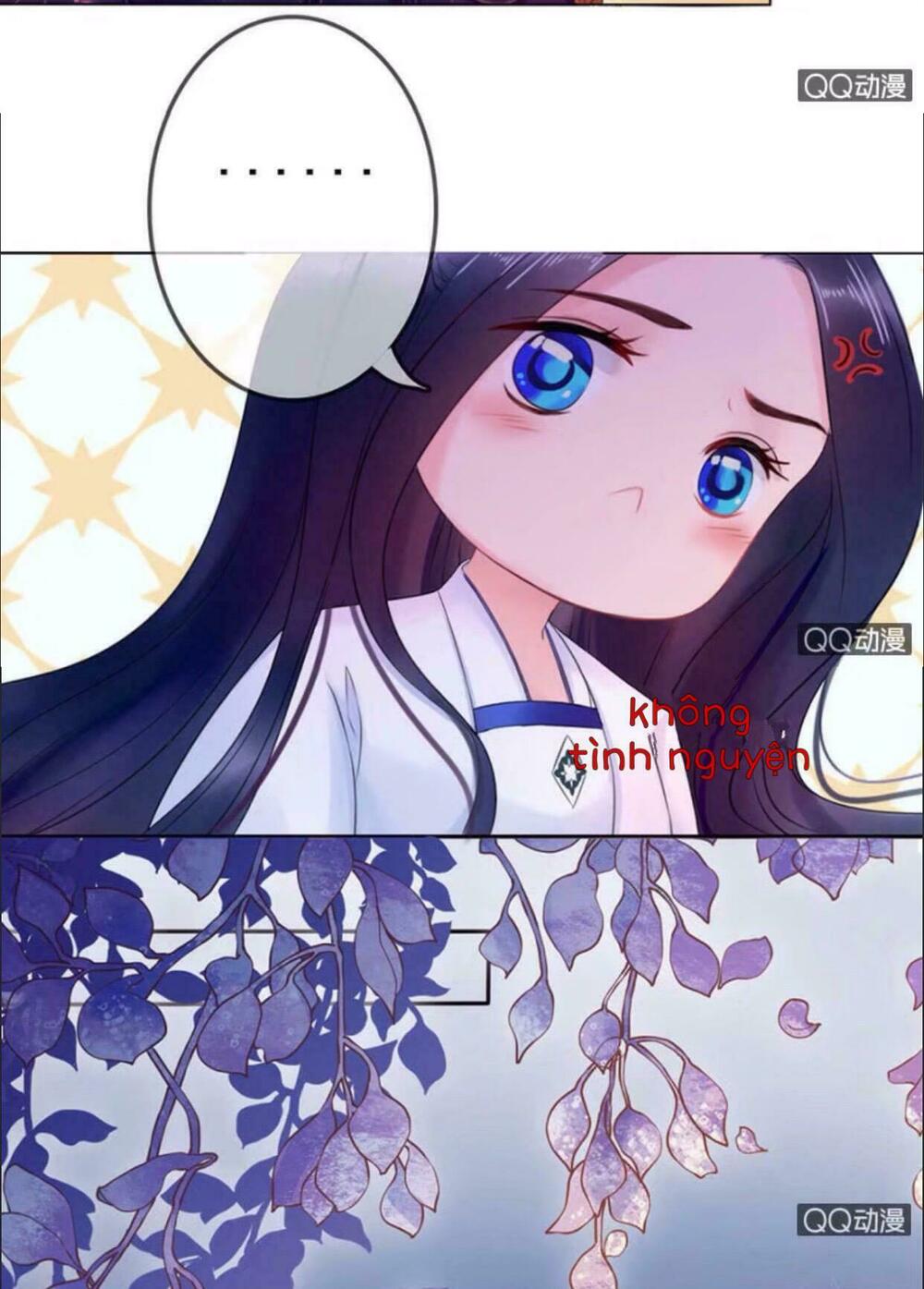 Sủng Phi Của Vương: Chapter 22