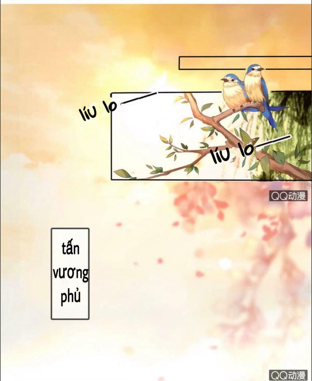 Sủng Phi Của Vương: Chapter 22