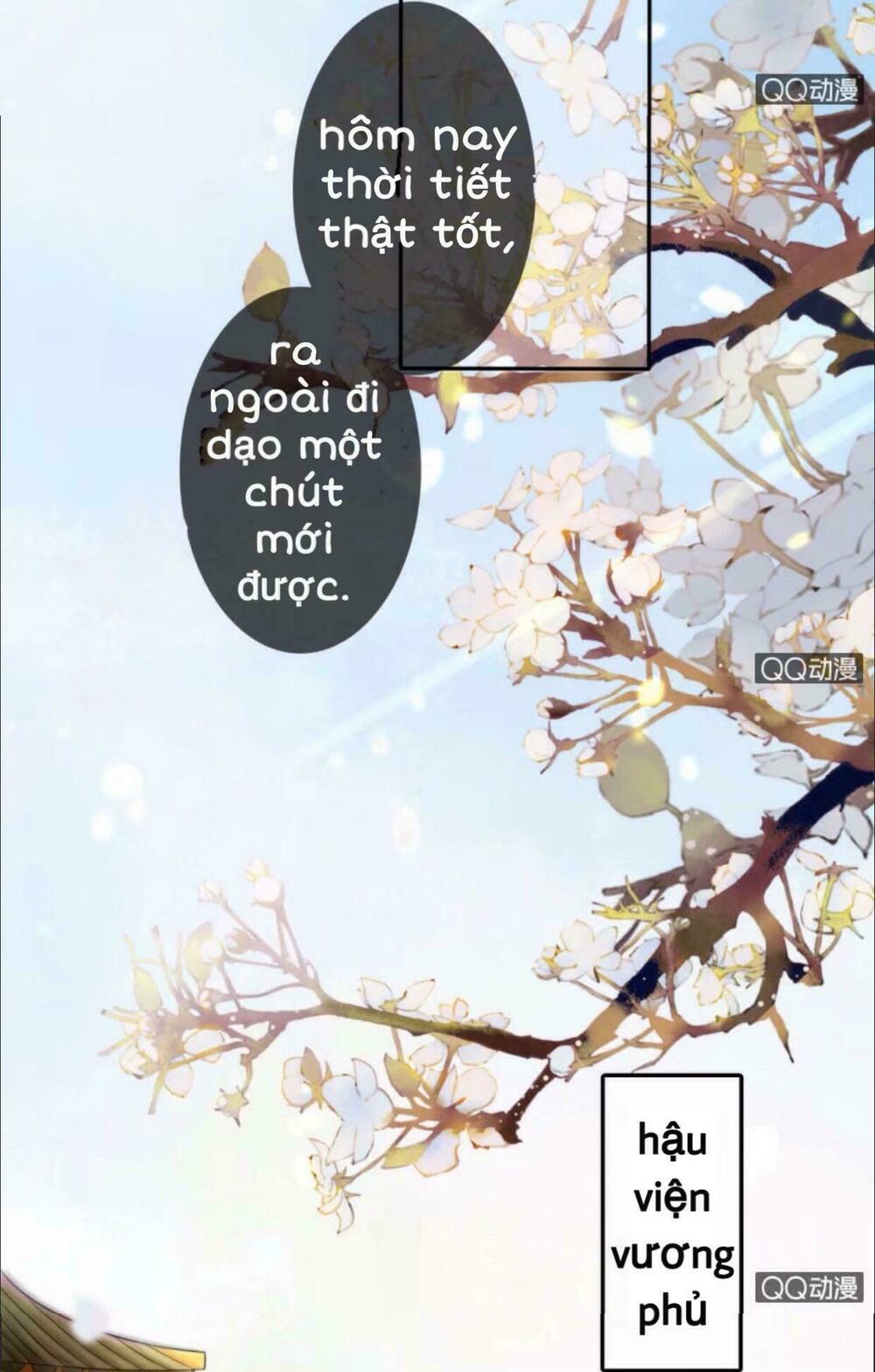 Sủng Phi Của Vương: Chapter 25