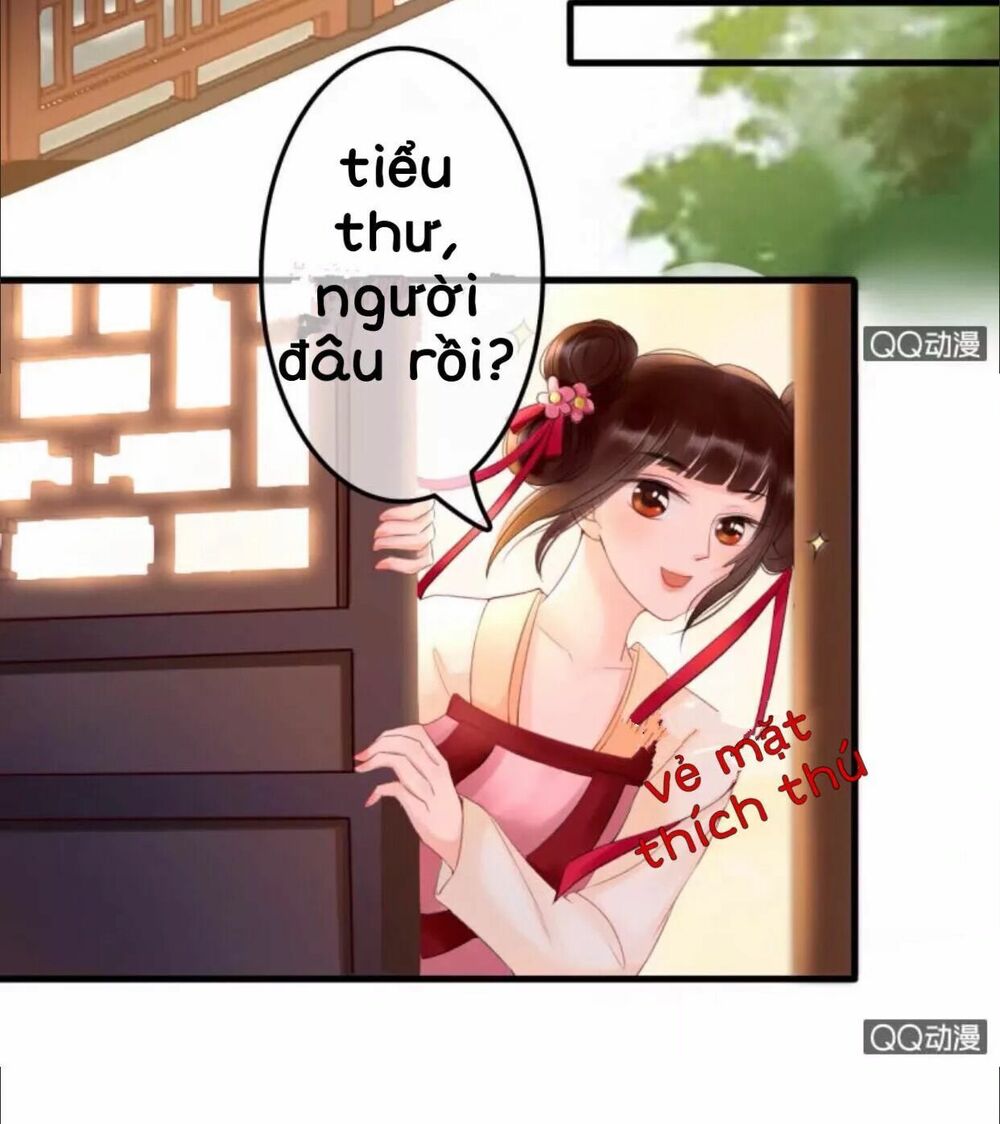 Sủng Phi Của Vương: Chapter 28