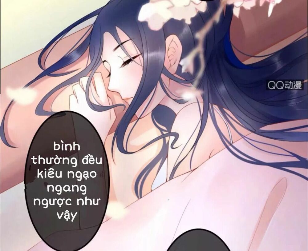 Sủng Phi Của Vương: Chapter 28