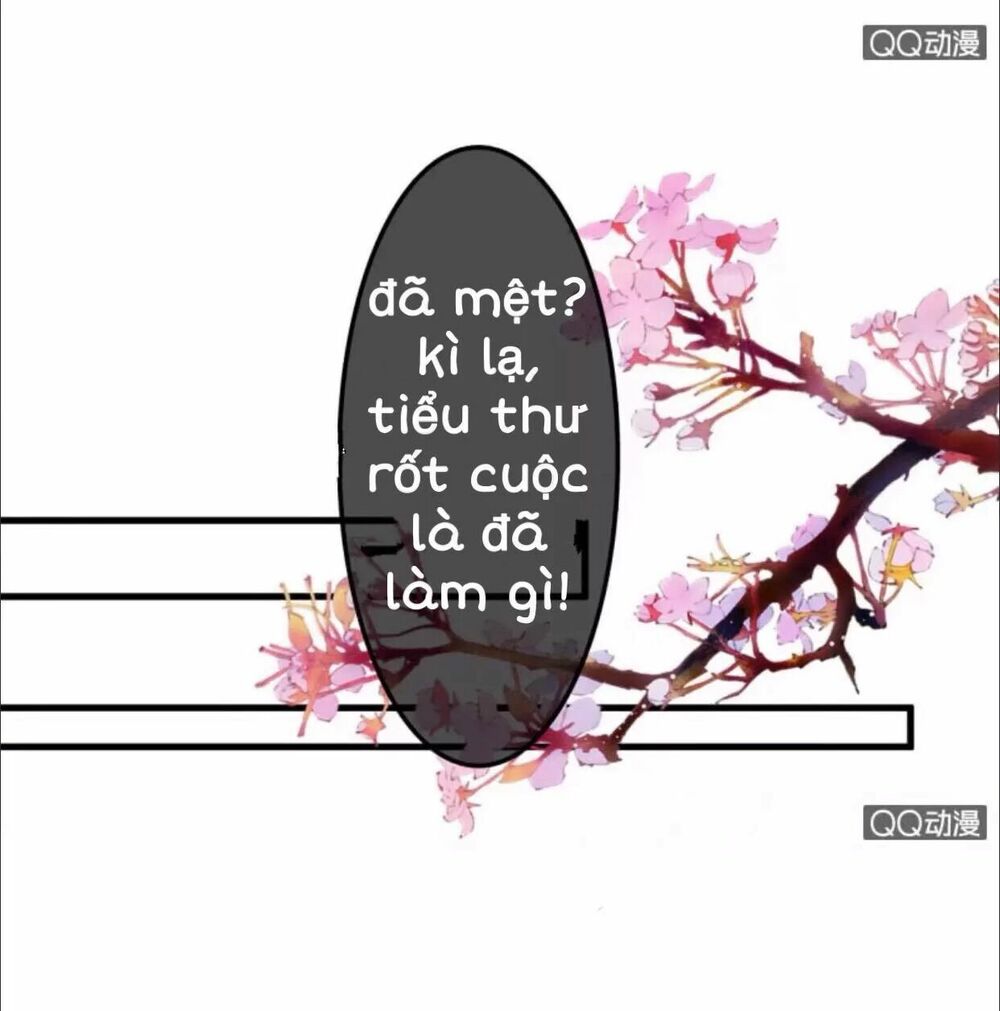 Sủng Phi Của Vương: Chapter 28